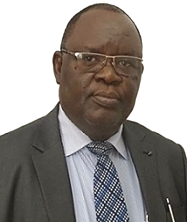 Mr. Paul Faraj Koyi, President of TCCIA