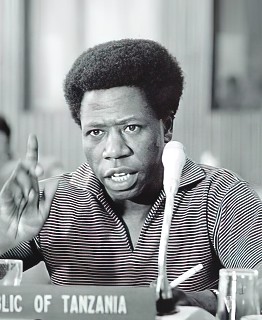 H.E. Weidi E. Mwasakafyuka - High Commissioner